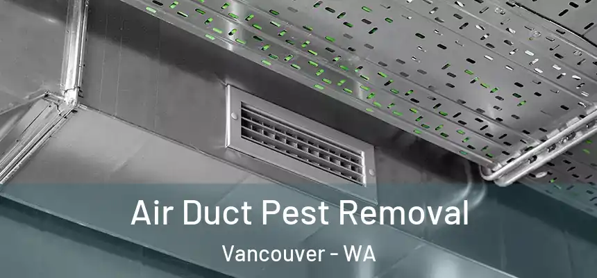 Air Duct Pest Removal Vancouver - WA