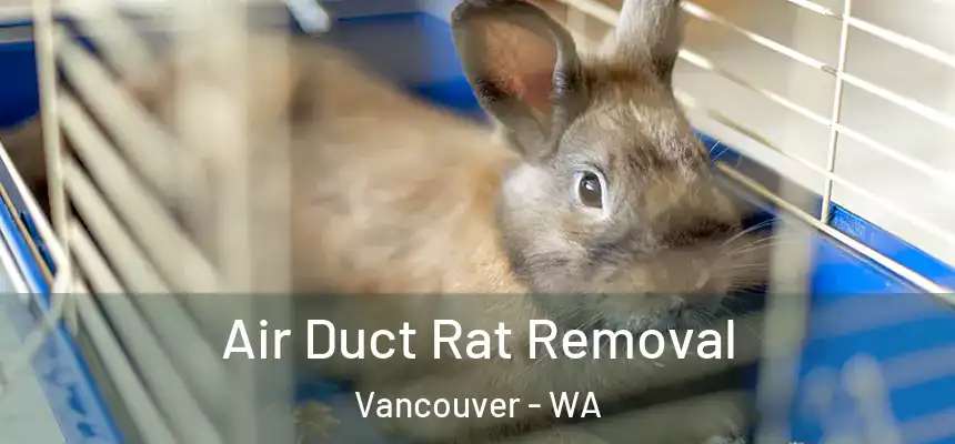  Air Duct Rat Removal Vancouver - WA