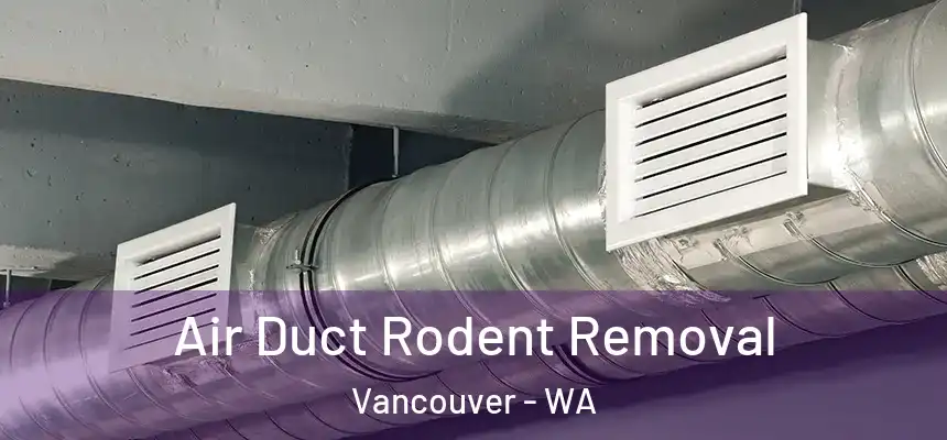 Air Duct Rodent Removal Vancouver - WA
