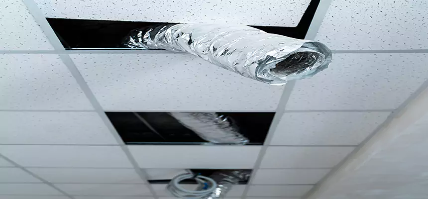 Our Air Duct Pet Hair Removal Services in Vancouver, WA