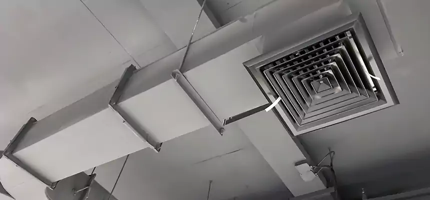 Restorative Allergy Relief Vent Cleaning – Coil, Blower & Housing Detail in Vancouver