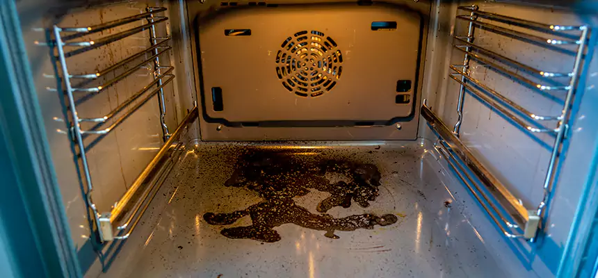 Our Dryer Vent Mold Cleaning Services in Vancouver, WA