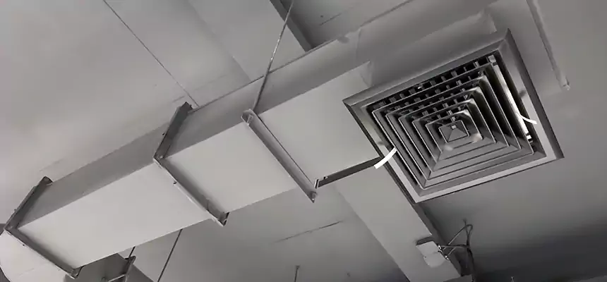 Our Pest Removal From Ducts Services in Vancouver, WA