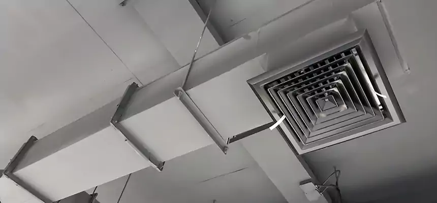 Our Rodent Droppings In Vents Services in Vancouver, WA