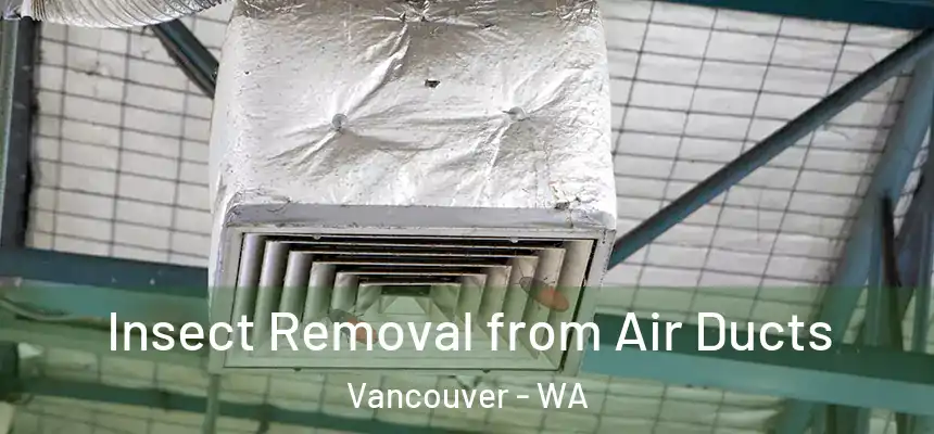 Insect Removal from Air Ducts Vancouver - WA