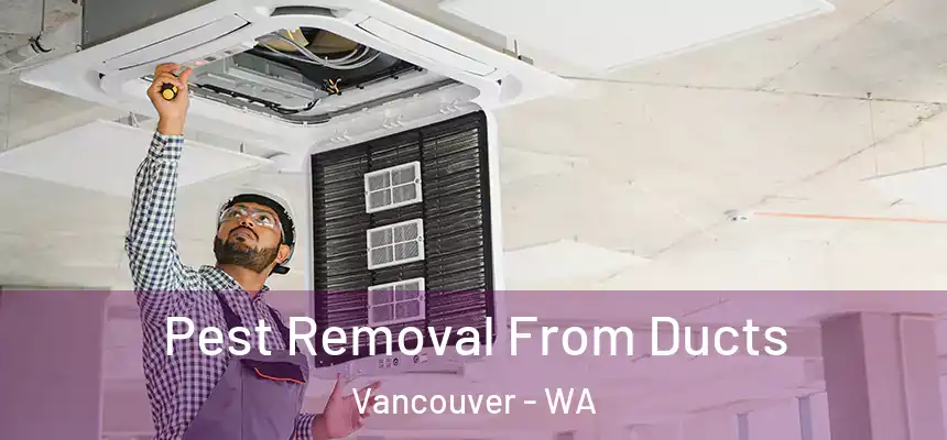 Pest Removal From Ducts Vancouver - WA