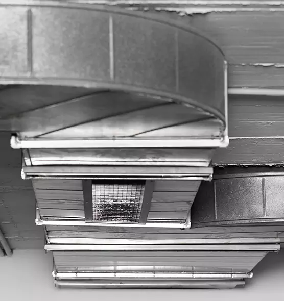 Professional Air Duct Pest Removal in Vancouver, WA