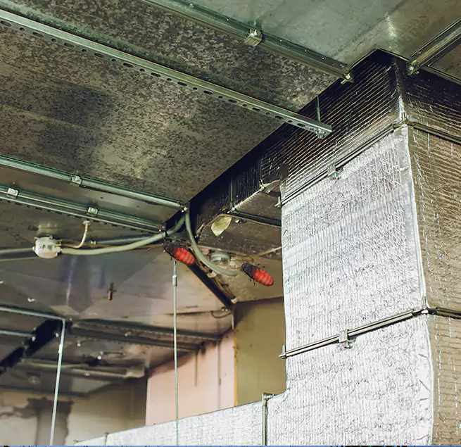 Why Homeowners & Businesses Trust Us in Vancouver, WA?