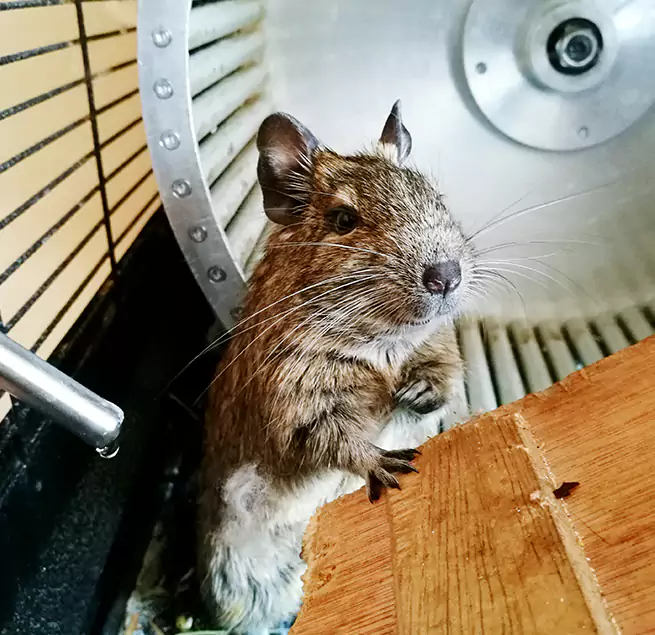 Why Homeowners & Businesses Trust Us Vancouver, WA