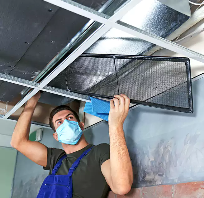 Why Homeowners Businesses Trust Us in Vancouver, WA