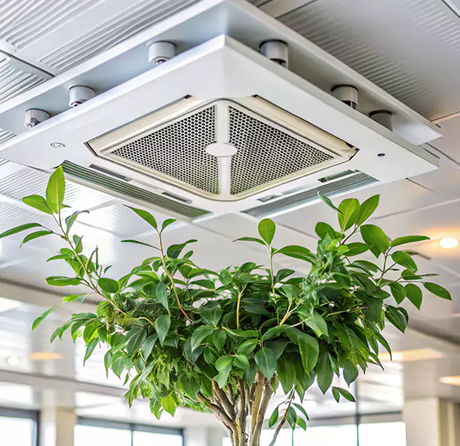 Why Homeowners & Businesses Trust Us in Vancouver, WA?